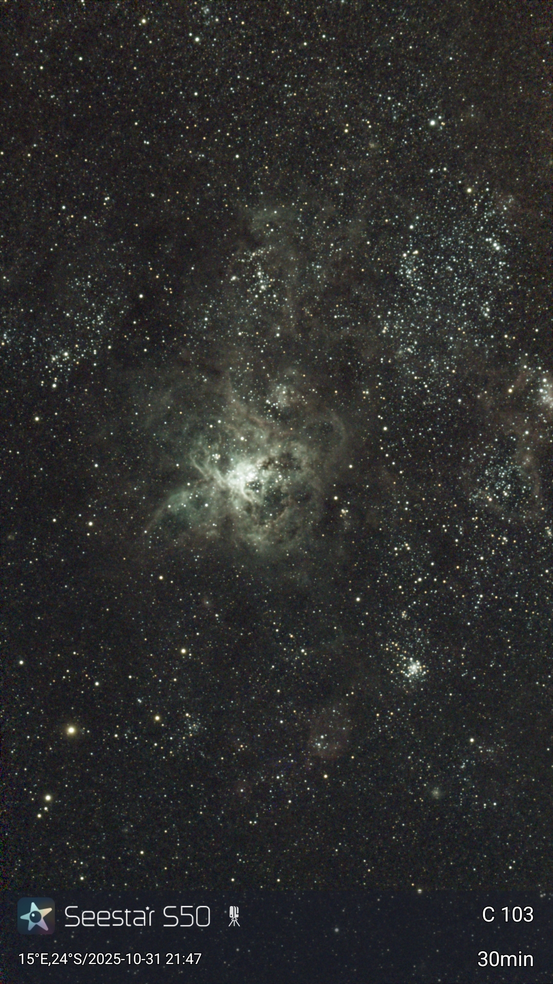 M31