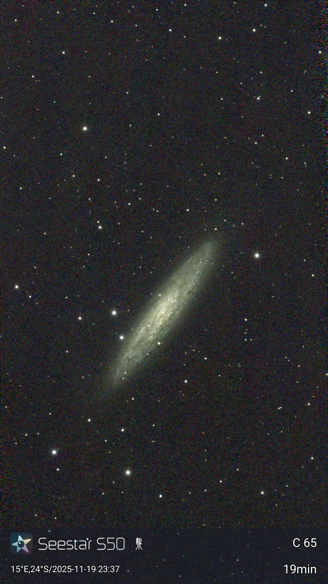 M31