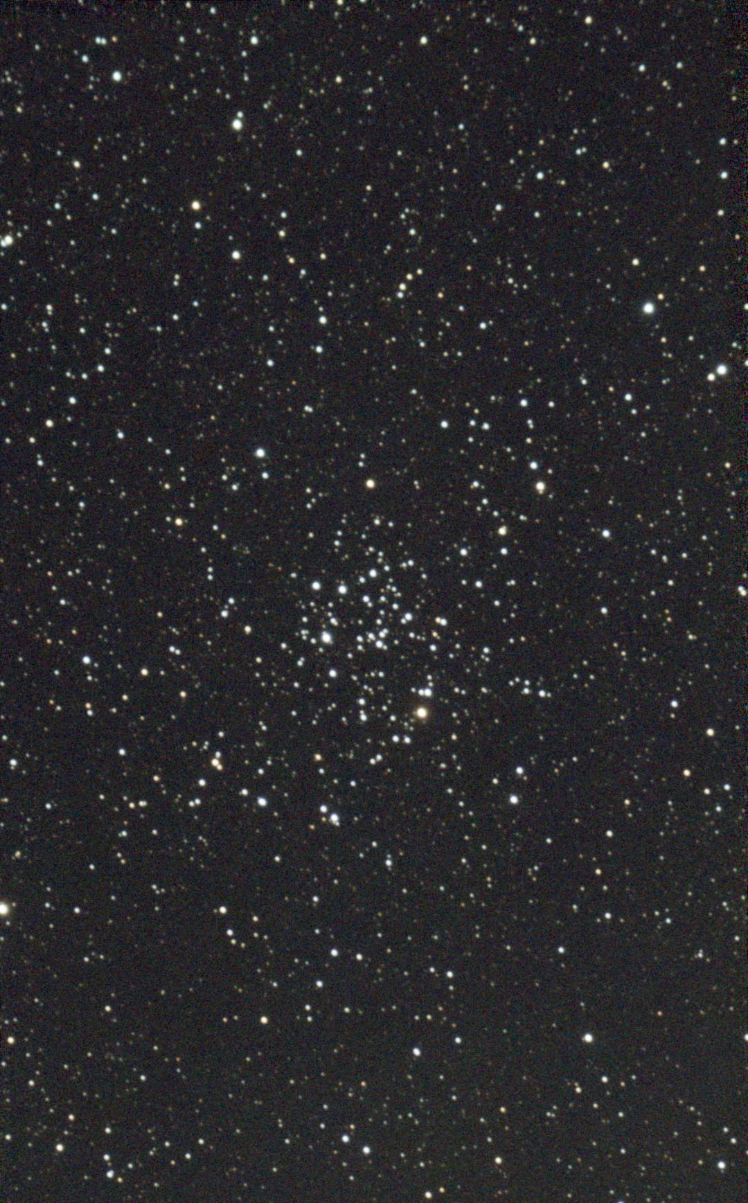 M50